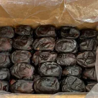 خرما رطب جنوب کشور