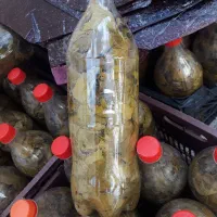 برگ مو-خیارشور - لواشک|خوردنی و آشامیدنی|مرند, |دیوار