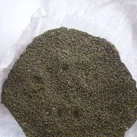 ماش