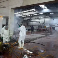 خدمات سمپاشی و ضد عفونی توسط شرکت مجوز دار|خدمات نظافت|همدان, |دیوار