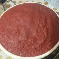 رب خانگی درجه یک