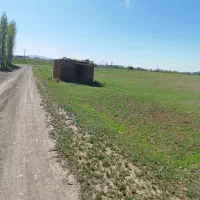 زمین کشاورزی،باغی