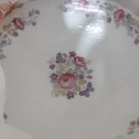 دو دست بشقاب خورشت خوری پارساوپال