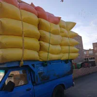 خوراک دام
