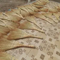جارودستی