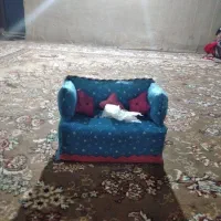 جاحوله ای نمدی|صنایع دستی و سایر لوازم تزئینی|خاش, |دیوار