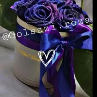 گل رز روبانی