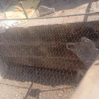 کت اهنی سوراخ تمیز کار درست