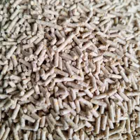 فروشگاه آنلاین انواع دان پرندگان نصیری