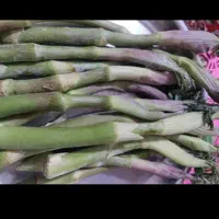 بیلهرپرموسیرقارچ