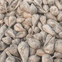 قیمت چهار هزارتومان