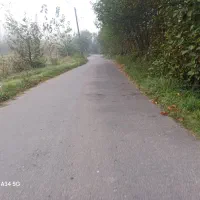 شالی سنتی سندتک برگ|فروش زمین و ملک کلنگی|رشت, استادسرا|دیوار