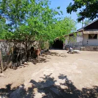 ویلا باغ ۱۷۴۵ متری/روستای ساحلی عسگرآباد/معاوضه