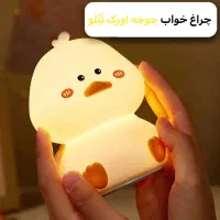 چراغ خواب برای کوچولوی شما|چراغ خواب و آباژور|تهران, امیریه|دیوار