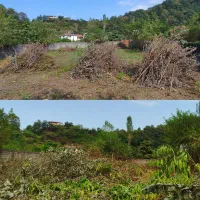 قطع درخت ، هرس درخت پرتقال ، احداث باغ ،علفتراشی