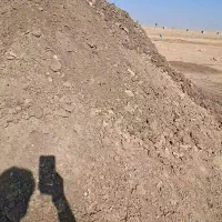 کود مرغ|خدمات باغبانی و درختکاری|سرچهان, |دیوار