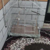 قفس پرنده