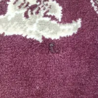 دو تخته فرش 12 متری کار کرده|فرش|بروجرد, |دیوار