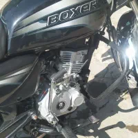 باکسر بوکسر boxer اصلی ۹۷