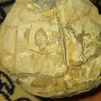 سنگ باستانی زیبا|کلکسیون اشیاء عتیقه|خمینیشهر, |دیوار