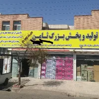 نیرو خانم ۲ نفر فروشنده و قفسه چینی