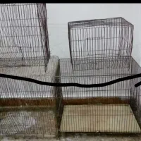 قفس بزرگ و قفس کوچک قفس عروس فنج مرغ کفترمینا و...