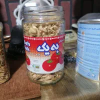 فروش بهار نارنج مال امسال