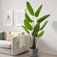 پخش عمده درختچه گل|گل مصنوعی|کرمان, |دیوار