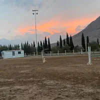 کاردر مجموعه سوارکاری