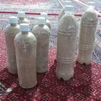 دانه دارویی|خوردنی و آشامیدنی|کوهدشت, |دیوار