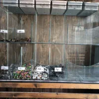 آجیل وشکلات خوری 6میل