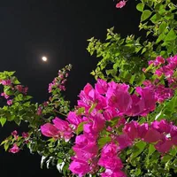 کمک دعا