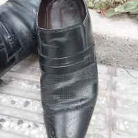 کفش مردانه|کیف، کفش، کمربند|گرگان, |دیوار