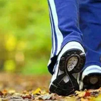 پارتنر پیاده روی