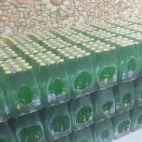 لیموناد شیشه ای شلی