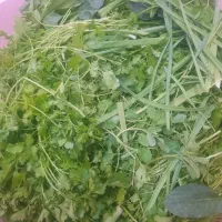 سبزی خورشتی