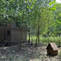 فروش فوق العاده ویلای اسکله دار|فروش خانه و ویلا|سامان, |دیوار