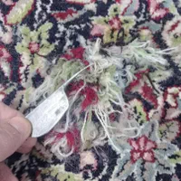 قالیشویی و مبل شویی ابریشم|خدمات نظافت|لاهیجان, لیالستان|دیوار