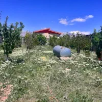 500 متر باغچه 4دیواری شده سند قطعی هومند وادان|فروش زمین و ملک کلنگی|دماوند, دماوند|دیوار
