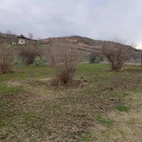 مازندران .گلوگاه جاده بردنا سایت پرواز|فروش زمین و ملک کلنگی|سرخه حصار, |دیوار