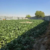 باغ 700متری، چهار دیواری،معاوضه با ماشین|فروش زمین و ملک کلنگی|اصفهان, مرکز همایش|دیوار
