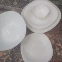 ظروف پذیرایی