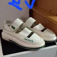 تعدادی وسایل شخصی فروشی|کلکسیون اشیاء عتیقه|گرگان, |دیوار