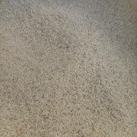 برنج هاشمی|خوردنی و آشامیدنی|چگنی, |دیوار