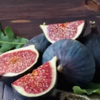 ارائه نهال انجیر سیاه|خدمات باغبانی و درختکاری|سراب, |دیوار