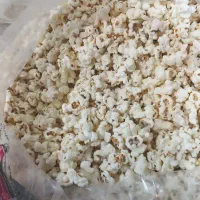 استخدام حسابدار