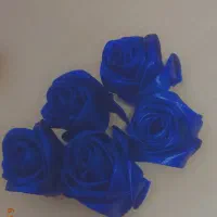 گل زیبا‌
