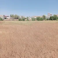 یک قطعه زمین زراعی|فروش دفتر صنعتی، کشاورزی، تجاری|خلخال, |دیوار