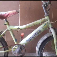 عکس ها رو ببین|حراج|فسا, |دیوار