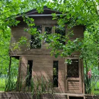 خریدمطمئن، در مجموعه بی نظیر،چشم نواز